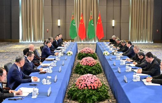 习近平会见土库曼斯坦总统别尔德穆哈梅多夫1